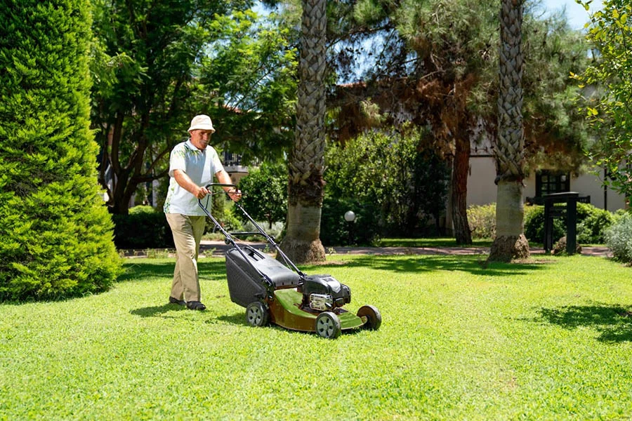 small battery operated lawn mowers